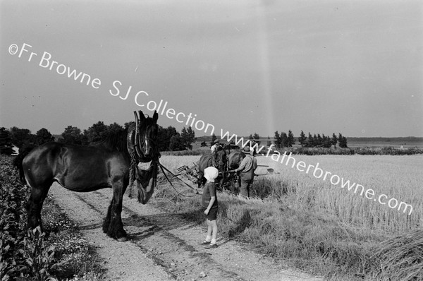 BURGH CASTLE  'HIS WORK' SMALL BOY WITH PLOUGH HORSE